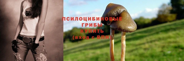 МДПВ Аркадак